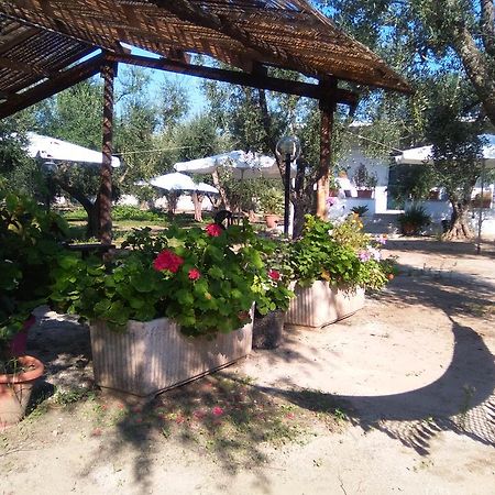 Casa Vacanza Fiorella Торре дель'Орсо Экстерьер фото