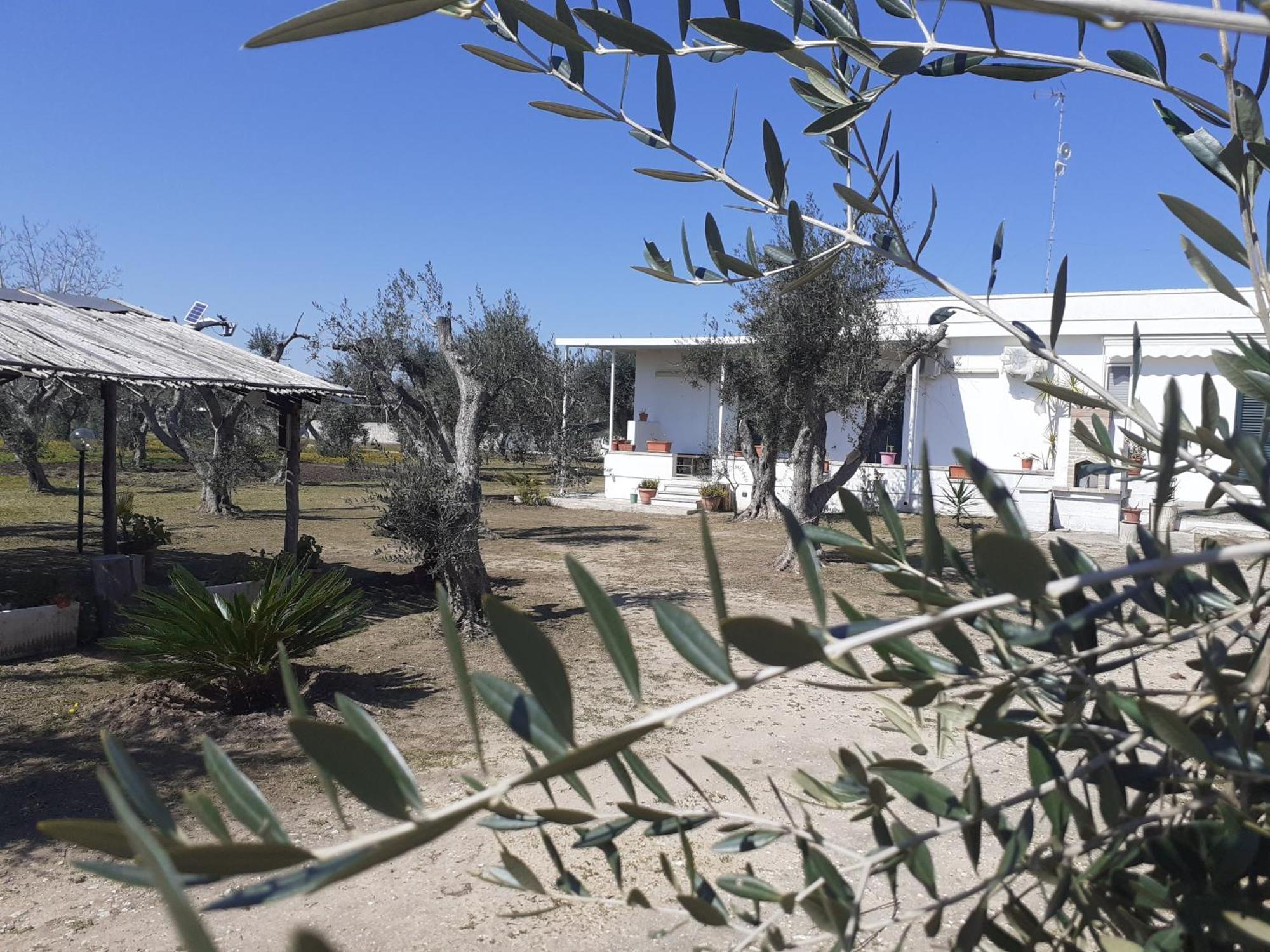 Casa Vacanza Fiorella Торре дель'Орсо Номер фото