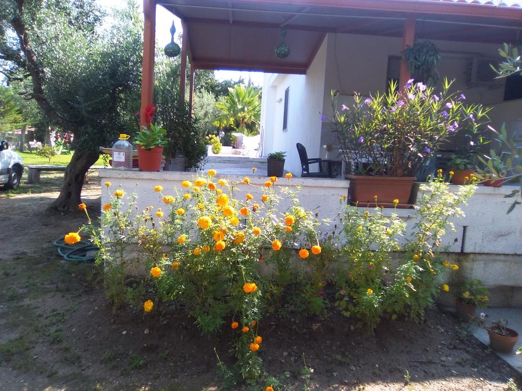 Casa Vacanza Fiorella Торре дель'Орсо Экстерьер фото